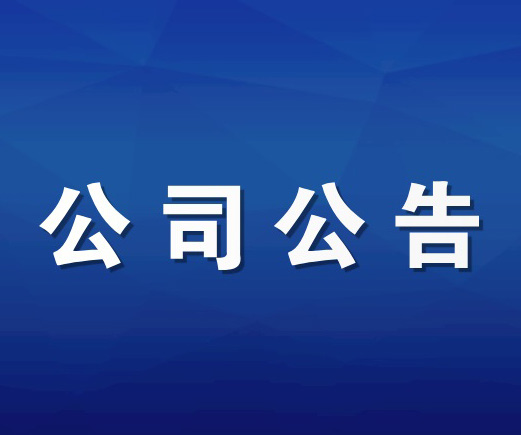 华泰联合有限责任公司关于公海赌船股份有限公司2024年度保荐工作报告